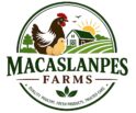 whatsapp image 2026 06 02 at 08.20.55
